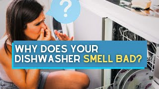 Why Does Your Dishwasher Smell Bad [upl. by Sluiter]