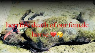 Sad NewsHorrible death of our Female horse😞💔Badal ny khana pena chor😢Punjabdyrung586 [upl. by Ailb]