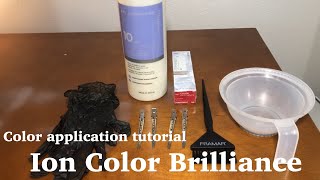 Color Application tutorial  Ion Color Brilliance for beginners [upl. by Nybbor205]