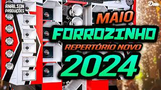 CD FORROZINHO PRA PAREDÃO MAIO 2024 • ANAILSON PRODUÇÕES [upl. by Bryon373]