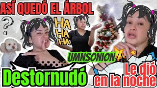 🚨 Así quedó el árbol 🎄✨ fue la Deychi 🤨le dió en la noche 🌛😁 [upl. by Iahs]