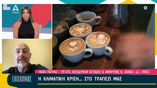 Το Freddo Espresso του Κυριάκου  Αύξηση στην τιμή του καφέ  ATTICA TV [upl. by Walworth209]