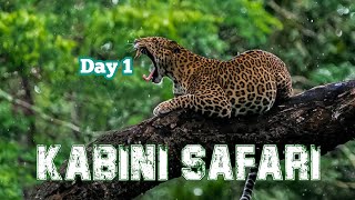 Kabini Deep Forest Safari Day 1  Nagarhole Tiger Reserve  Jolly Trip [upl. by Longtin331]