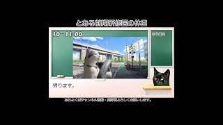 とある前期研修医の休日shorts 猫ミーム 猫マニ [upl. by Baal]