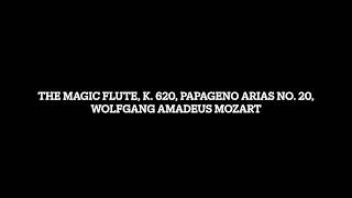 The Magic Flute K 620 Papageno Arias No 20 Wolfgang Amadeus Mozart [upl. by Ithnan]