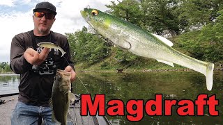 Magdraft Magic Unlocking Largemouth Bass Secrets with Megabass Swimbait [upl. by Eldorado825]