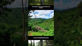 Worlds biggest isolated tribe kills 2 with bows amp arrows for trespassing in Peru [upl. by Neumeyer]