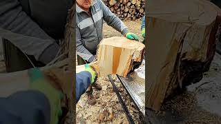 Log Splitter for two logsplitter machine woodsplitting [upl. by Anaj]