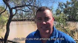 2024 Bayer Australian Cotton Grower of the Year Nominee Scott Balsillie Eastern Australia Ag [upl. by Sherl466]