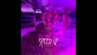 ¡треки из тт 2023¡ speed up [upl. by Enelyw]