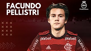 Facundo Pellistri ► Bem Vindo Ao Flamengo  Amazing Skills Goals amp Assists  2023 HD [upl. by Jac374]