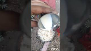 Coconut shell Coconut laddu recipe 😋😋shorts [upl. by Dayna]