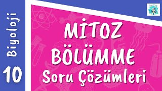 Biyoloji 10Sınıf  Mitoz Bölünme Soru Çözümleri [upl. by Lisa170]