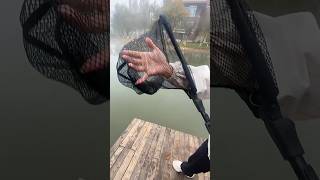 Portable folding net folded netfishinggearoutdoorfishingviralvideo viralshort youtubeshorts [upl. by Nihsfa]