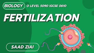 Fertilization  O Level  Biology Saad Ziai  SLATE [upl. by Llerrahs]