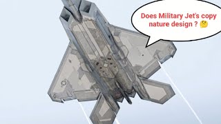 Ask why Fighter Jets copy nature Dhot video [upl. by Menard198]