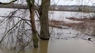 Monongahela River flood at Nine Mile Run and Duck Hollow 20240404 0728 [upl. by Nylrac]