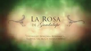 Estallido de amor  La Rosa De Guadalupe Parte 12 Hd alta calidad [upl. by Crowe619]