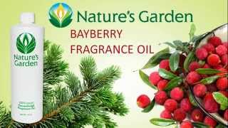 Bayberry Fragrance Oil  Natures Garden [upl. by Laeira]