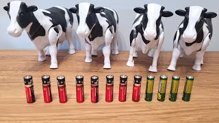 The Complete Polish Cow Set  Unpacking and Testing Crazy Cows [upl. by Oinoitna283]