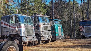 Cabover Kings Trailer Teaser trucking [upl. by Hareemas]