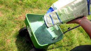 How to Overseed Your Lawn  Ace Hardware [upl. by Anwahs]