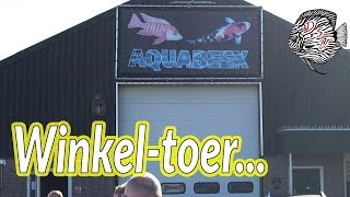 AquaBeek Handel  Open dag 2019  Winkeltoer beelden maar beter  Aquarium Sunshine Valley [upl. by Malvie]