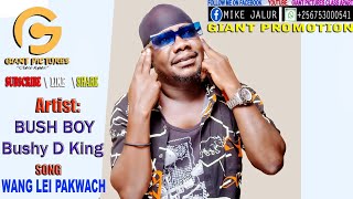 Wang Lei Pakwach  Bush Boy Bushy D King Official Audio Latest Alur Music 2024 [upl. by Airdua]