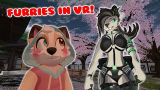 FURRIES SMASH IN VR  Furries Play VRCHAT  March 1 2024 [upl. by Penni]