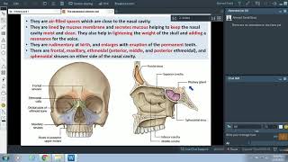 Anatomy of the Paranasal sinuses  Dr Ahmed Farid [upl. by Leary]