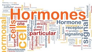 La communication hormonale  SVT 4ème  les hormones [upl. by Blackman954]