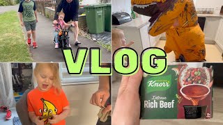 CHAOS GŁUPAWKA I SZALEŃSTWO 🤣 WEEKLY VLOG [upl. by Iverson]