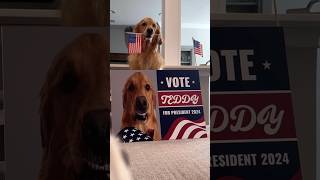 My dog ran for president [upl. by Marcin]