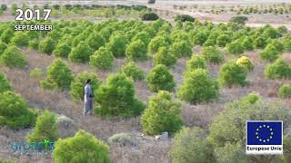 Reforestation antidesertification in Los Monegros Desert Zaragoza Spain with Groasis [upl. by Wat]