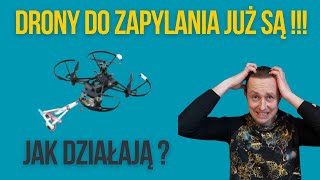 Drony do zapylania  czy to nowe zagrożenie dla pszczół [upl. by Ogden4]