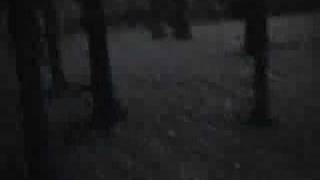 DISTURBING FOOTAGE  unknown creature attack [upl. by Vizzone961]