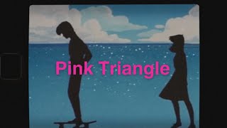 Pink Triangle  Weezer  Letra Español  Lyrics English [upl. by Ennoitna139]