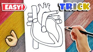 Heart Diagram  Easy Class 10 [upl. by Cramer]