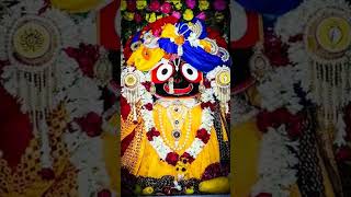 New jagannath odia bhajan status video 🚩🙏॥ bhajan status video॥shortsbhajanjagannath [upl. by Hayidah]