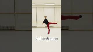 4 Arabesque Positions 🩰 Shorts ⎪Ballet Basics [upl. by Duston]