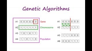 Genetic Algorithm Internet Search Based GA in Tamil [upl. by Leslie]