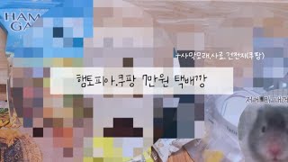 햄토피아쿠팡에서 산 7만원 택배깡📦🚚내돈내산💲🤑햄테리어🌿찰떡골든햄스터🐹 [upl. by Richelle744]