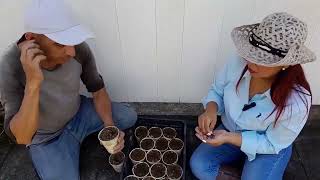 Huertos caseros en el Hogar Padre Vito Guarato [upl. by Weinstock590]