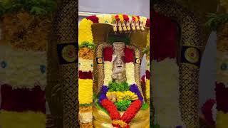 Sri shaneshwara temple Hiremagalur Chikmagalur DT song foryou Shilpashreehjs [upl. by Ahsieym]