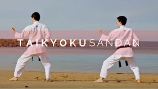 Taikyoku Sandan  Beginner Karate Kata [upl. by Postman500]