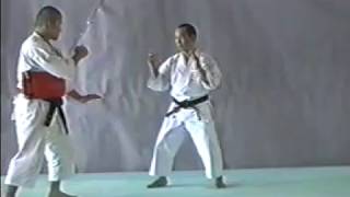 Shorinji Kempo Waza  GYAKU TEN SHIN GERI [upl. by Ynnavoig56]