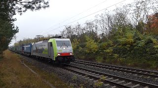 Güterverkehr Schiene 🚇 Bergstraße 📹 PfungstadtBickenbach 📹 1112024 [upl. by Ardnala66]