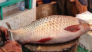 Amazing Mrigal Fish Cutting Video In Fish Market  Fastest Fish Cutting [upl. by Samohtnhoj]