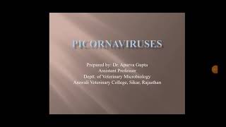 Picornaviruses and FMD Veterinary virology lectures by Dr Apurva Gupta [upl. by Nylyoj]