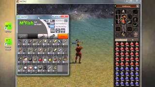 Metin2 FishBot 44 Working Elitepvpers [upl. by Origra]